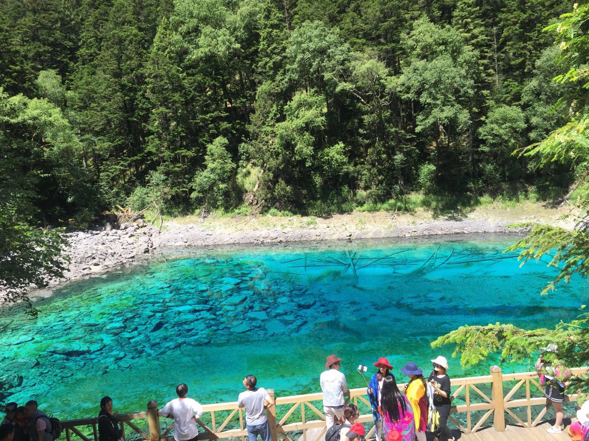 2019五彩池_旅遊攻略_門票_地址_遊記點評,九寨溝旅遊景點推薦 - 去