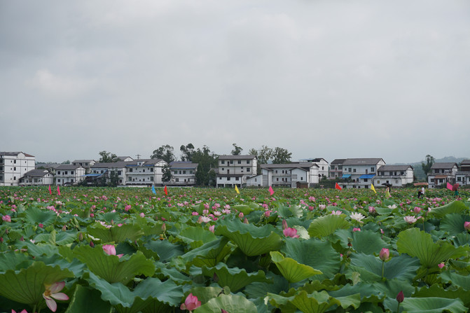 开江县人口_开江县牛山寺最新图片