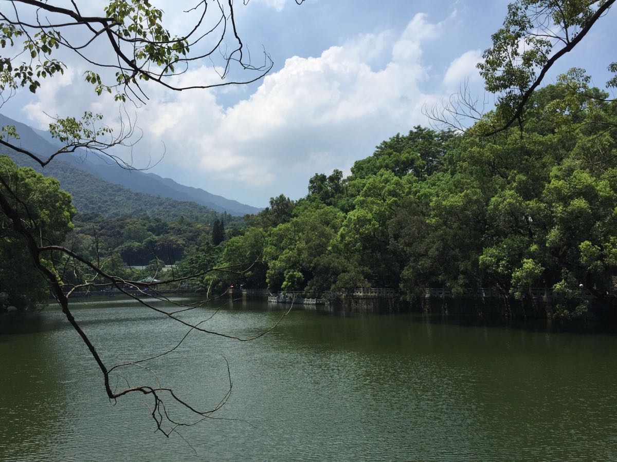 2019羅浮山_旅遊攻略_門票_地址_遊記點評,博羅旅遊景點推薦 - 去哪兒