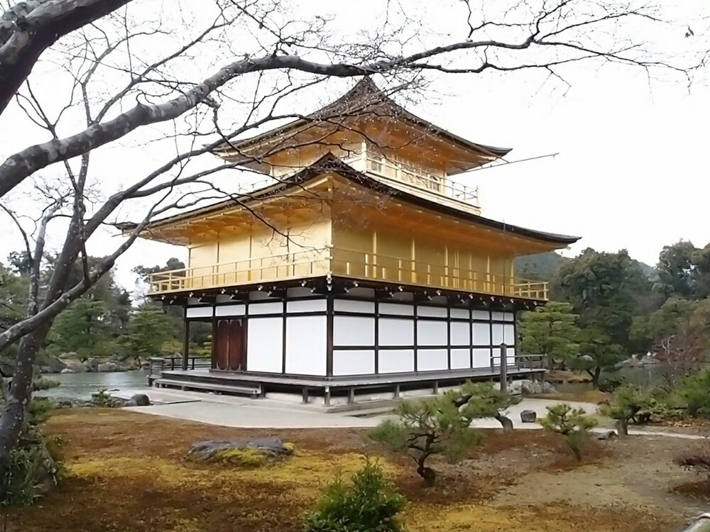 日本京都金阁寺 哲学之道 银阁寺 清水寺 伏见稻荷大社包车一日游【静
