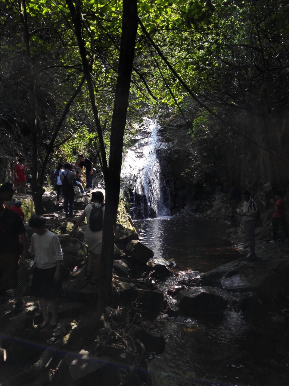 【攜程攻略】肇慶鼎湖山景點,景區挺大的,蝴蝶谷比較驚險真是原始森林