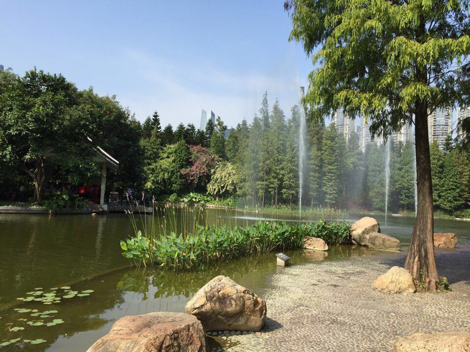 【携程攻略】广州珠江公园景点,地处富人区的珠江公园,植物配置精致