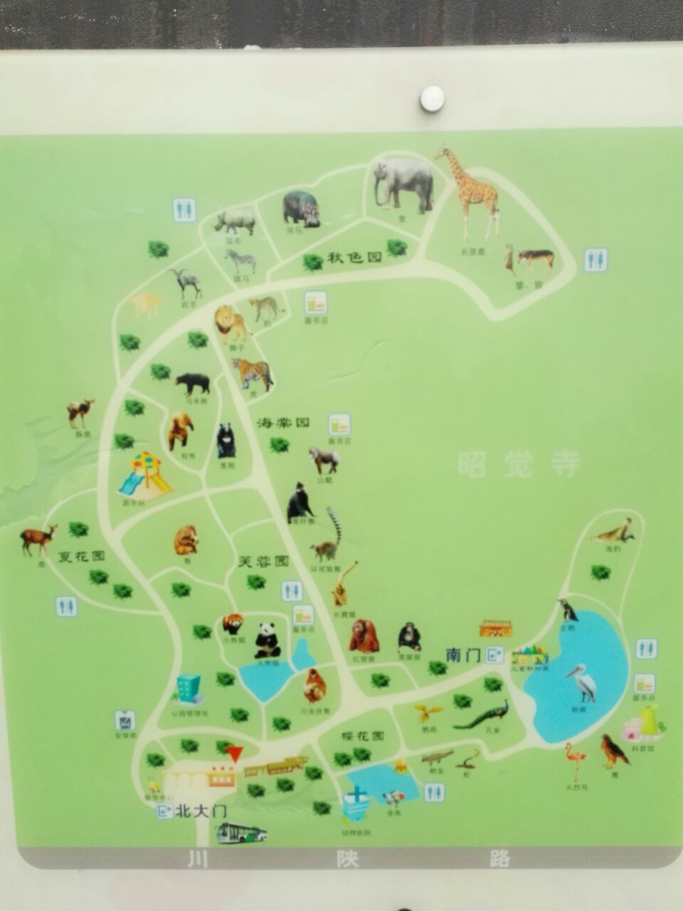 成都动物园游览图高清图片