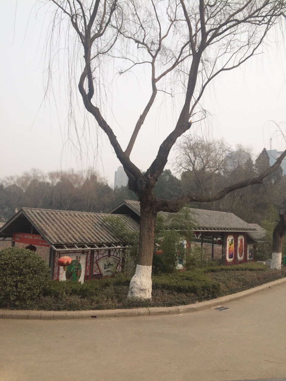 2019紫荆山公园_旅游攻略_门票_地址_游记点评,郑州旅游景点推荐 - 去