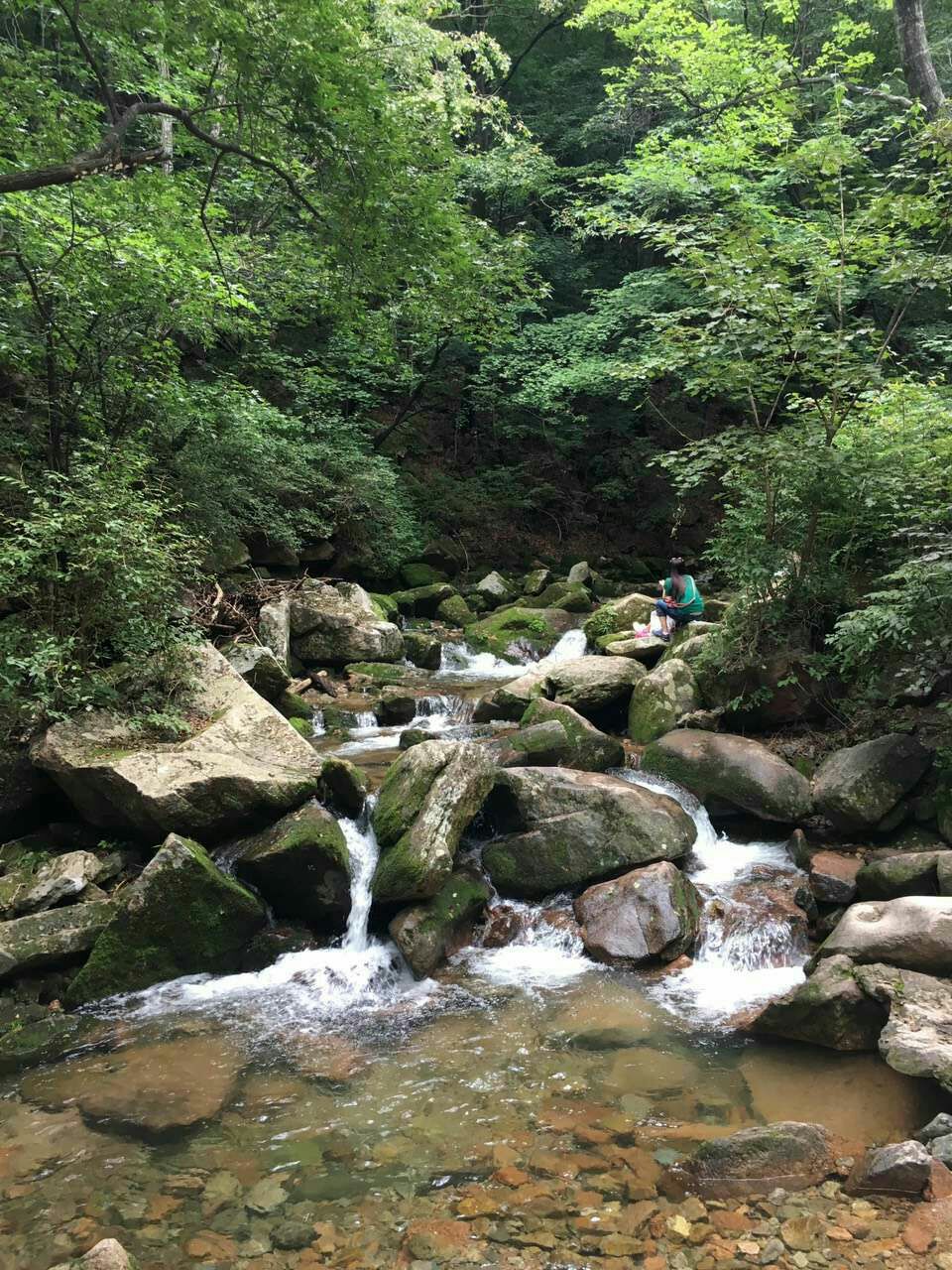 湯溝森林公園