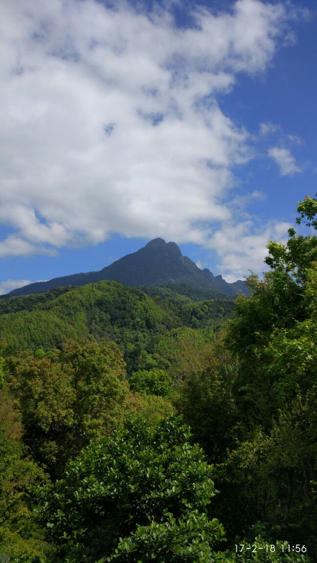 五指山热带雨林风景区