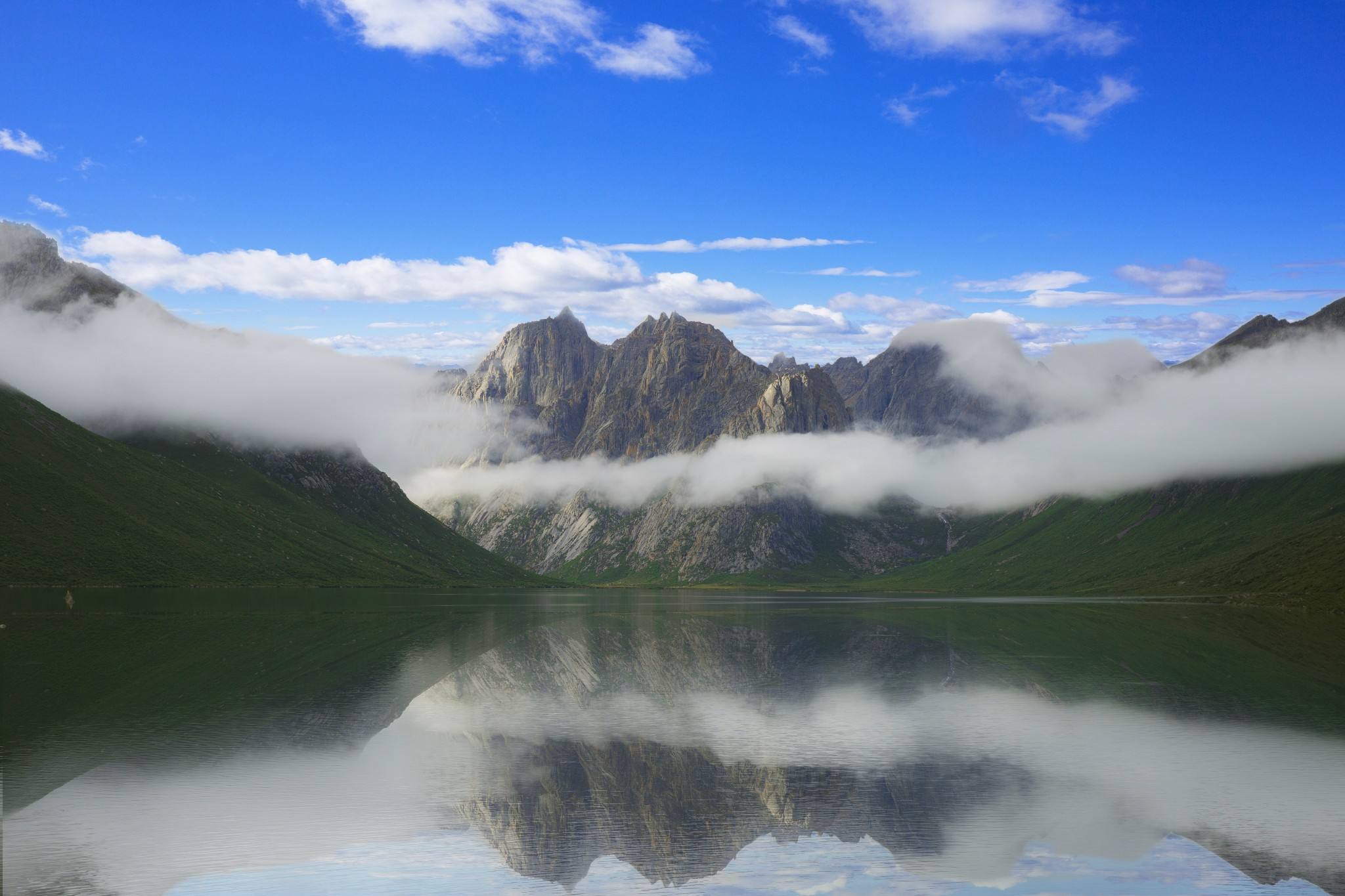 【携程攻略】果洛年保玉则景点,年宝玉则在每年的6-8月,漫山遍野开满