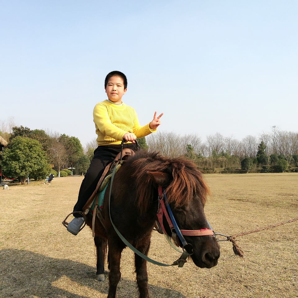 2019三国遗址公园_旅游攻略_门票_地址_游记点评,合肥旅游景点推荐