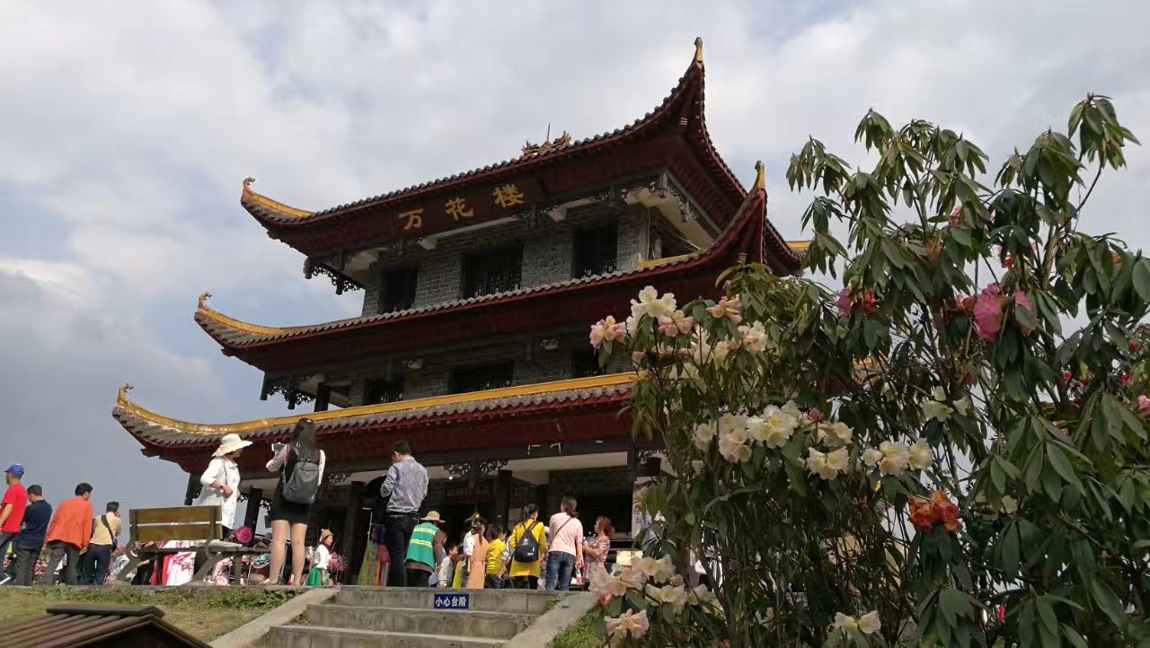 百里杜鹃风景区