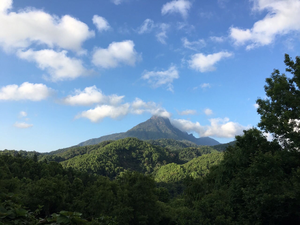 五指山國家級自然保護區