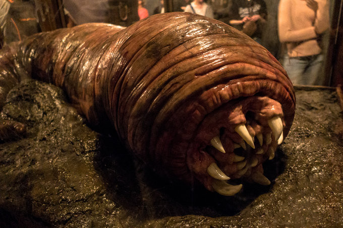 彼岸的旅行箱之悠游加勒比(美东 皇家加勒比游轮)