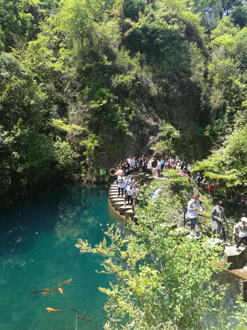 大奇山國家森林公園