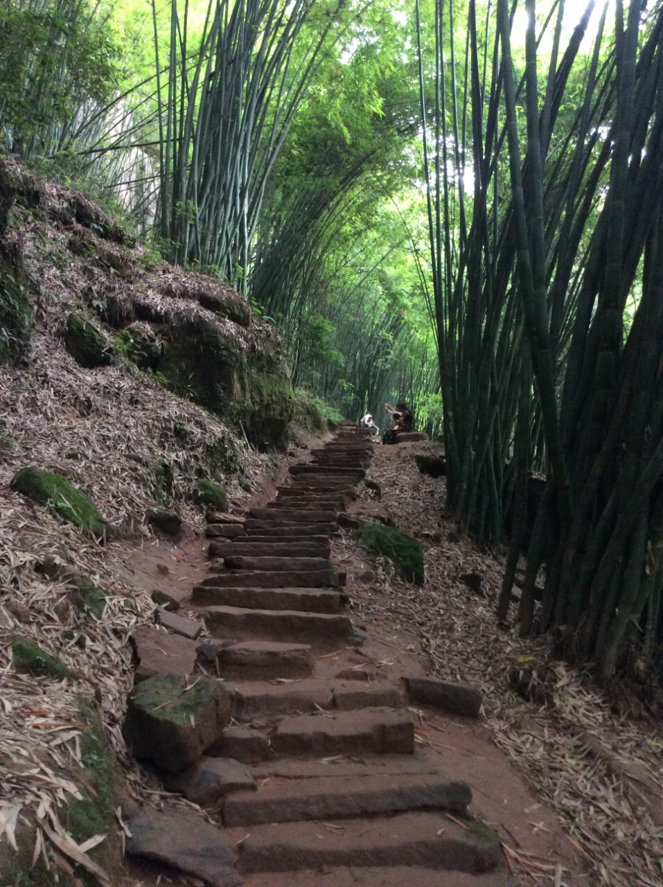 川西竹海峽谷景區(金雞谷)旅遊景點攻略圖