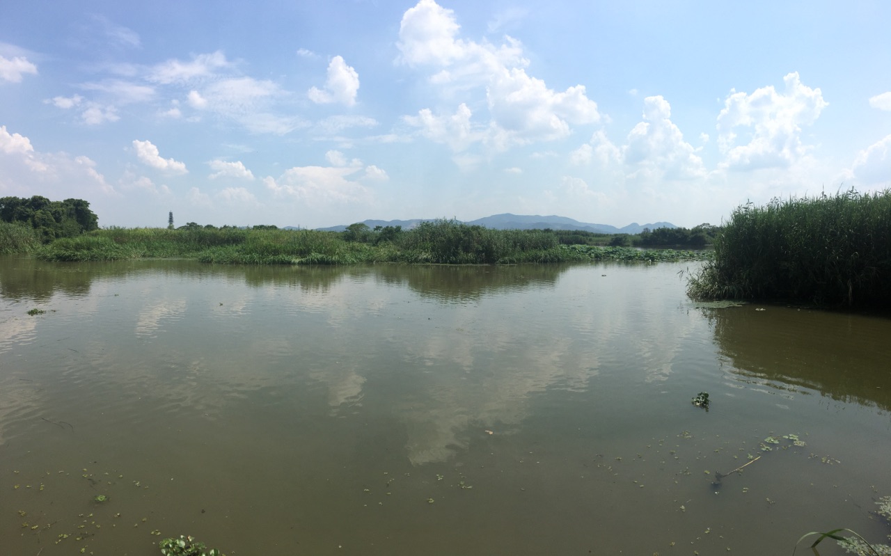 2019德清下渚湖溼地公園_旅遊攻略_門票_地址_遊記點評,德清旅遊景點