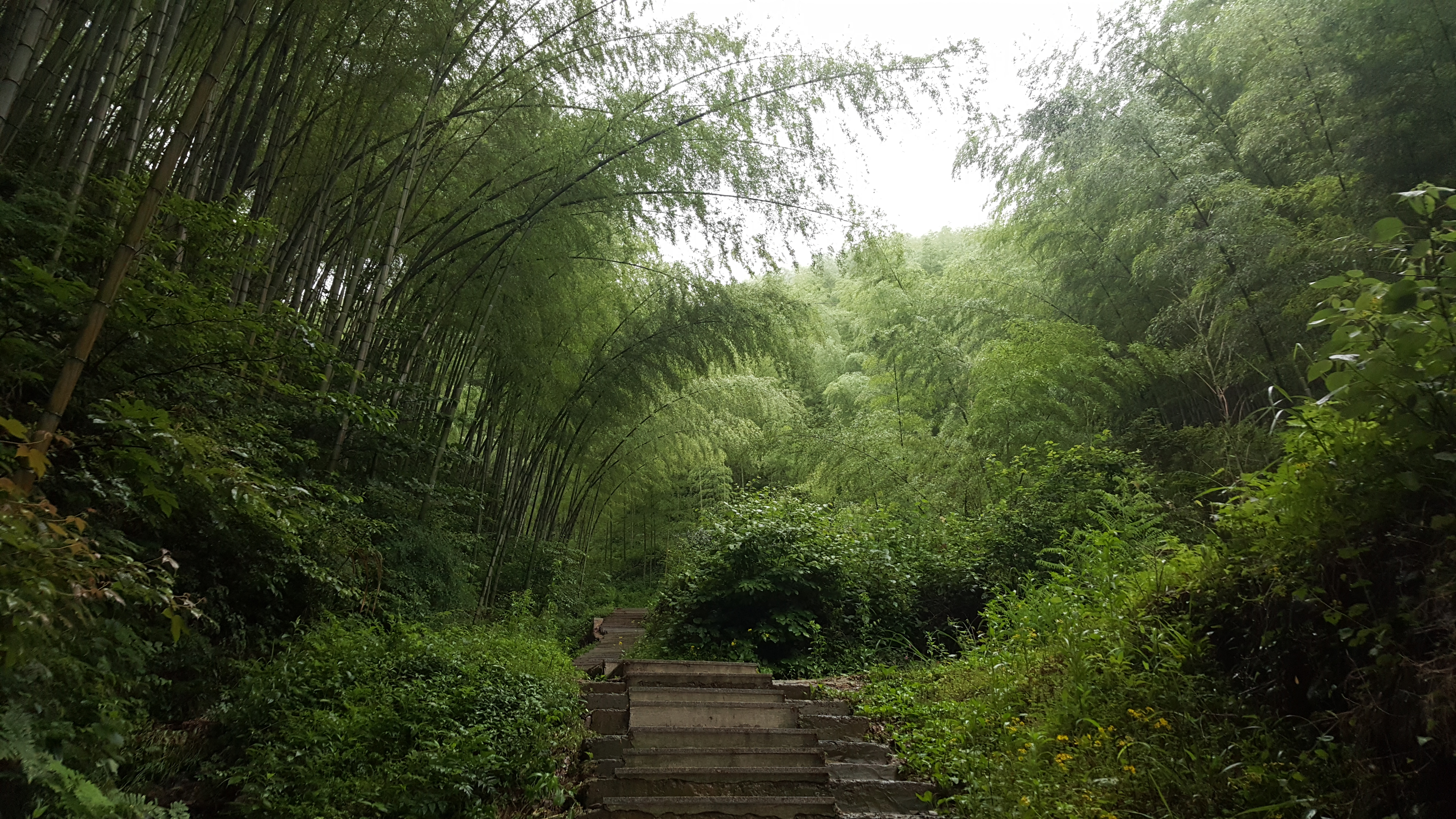 木坑竹海旅遊景點攻略圖