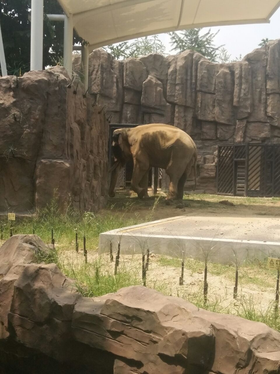 成都動物園