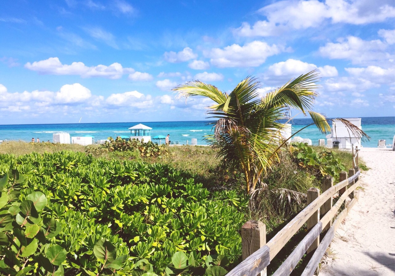 【携程攻略】迈阿密南海滩景点,miami south beach15来miami第三天