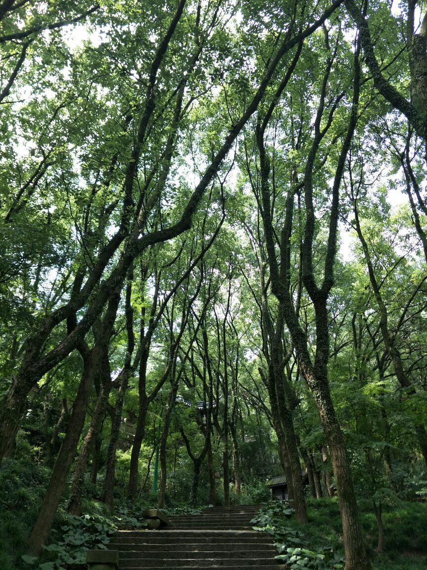 保国寺古建筑博物馆