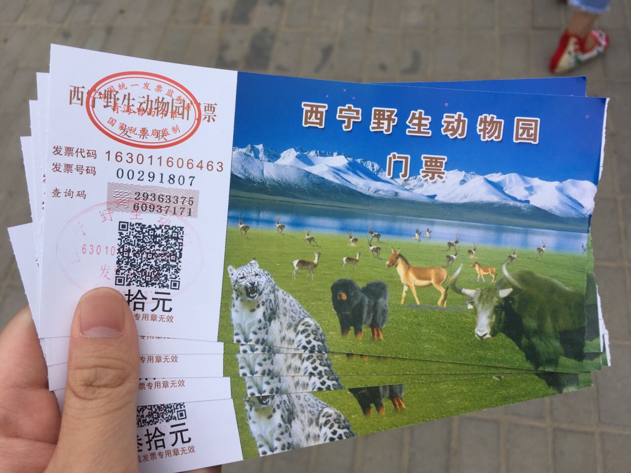 西宁青藏高原野生动物园好玩吗,西宁青藏高原野生动物园景点怎么样