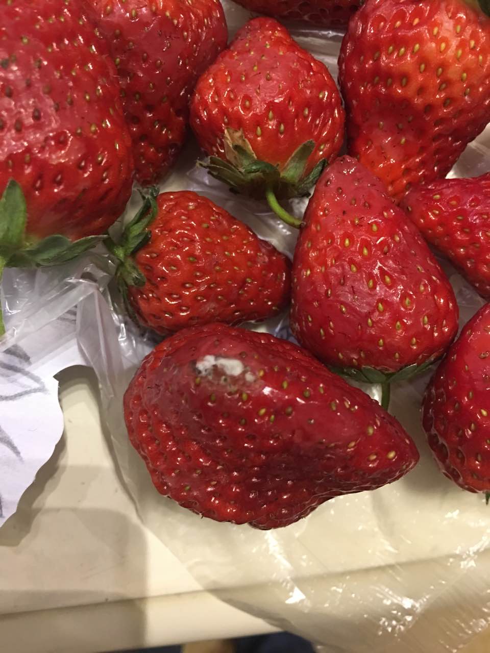 这么多草莓都已经烂到发霉藏在最底下我一会会在工商部门市场监督局
