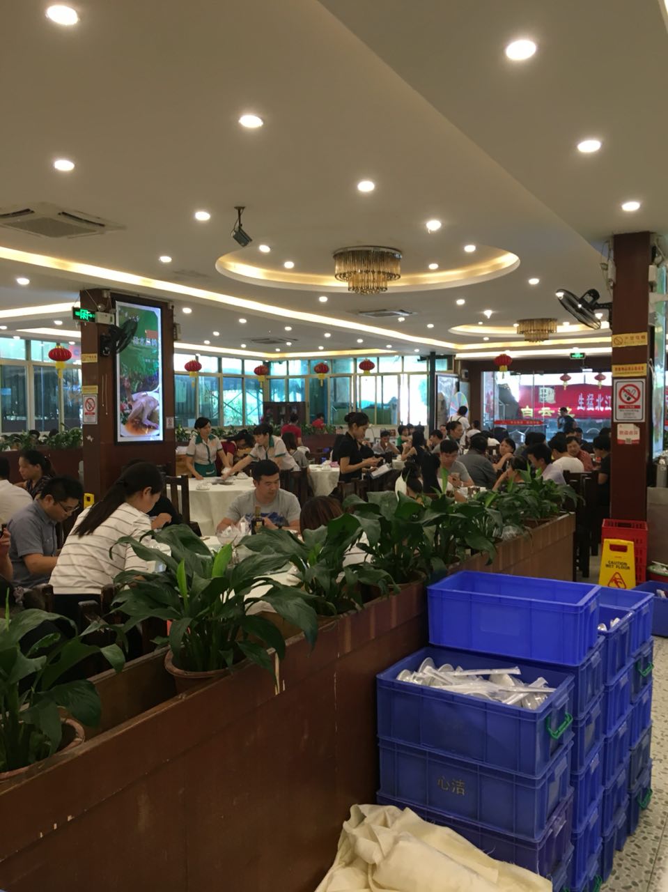 大鸽饭(东圃店)