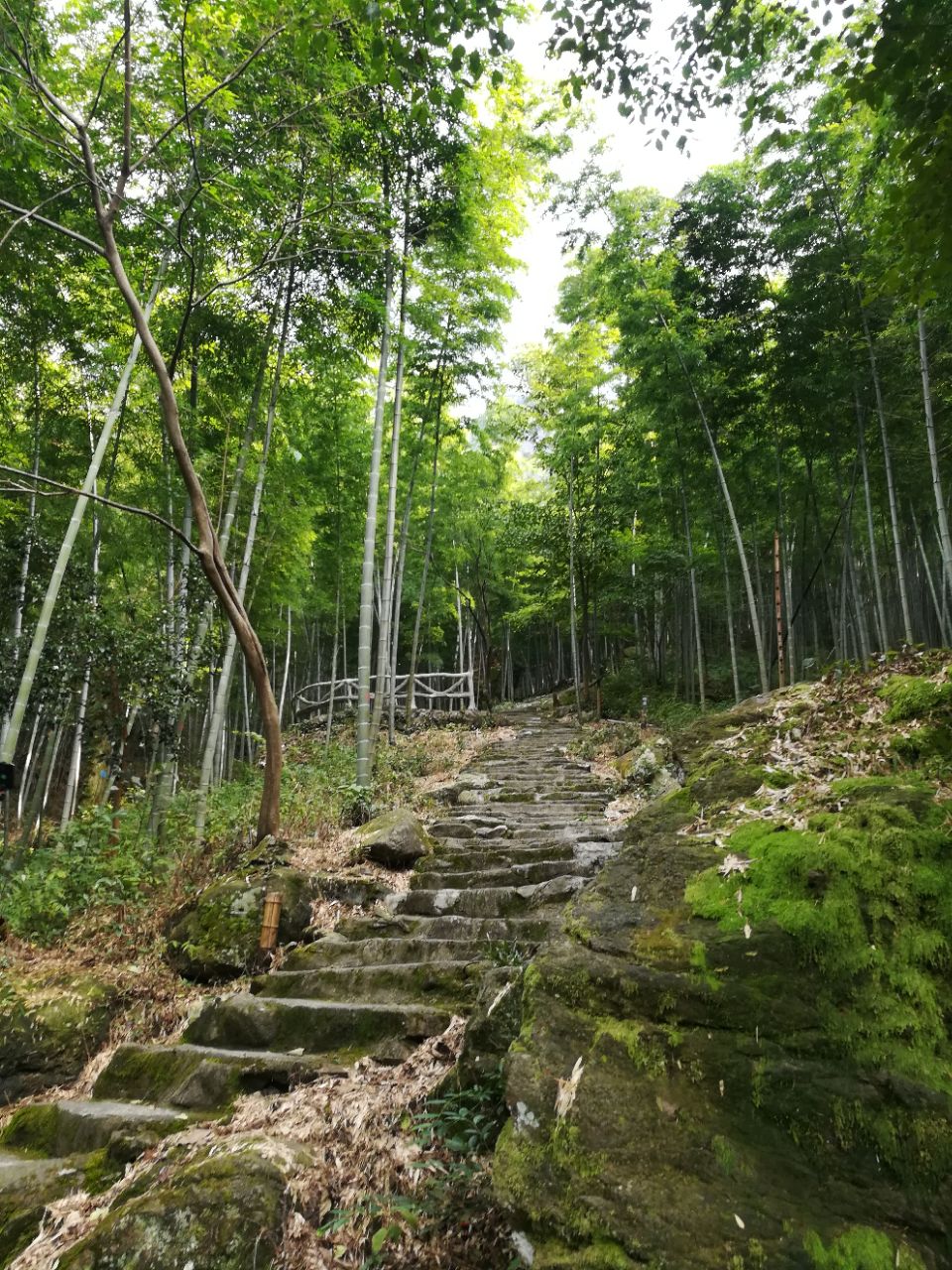 武宁神雾山风景区图片