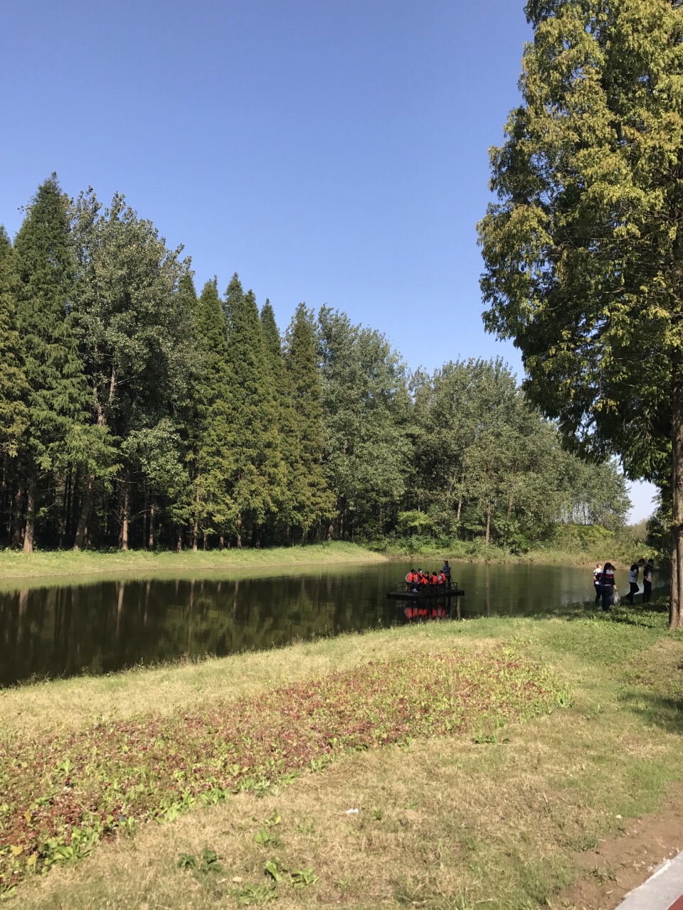 2019黃海森林公園_旅遊攻略_門票_地址_遊記點評,東臺旅遊景點推薦