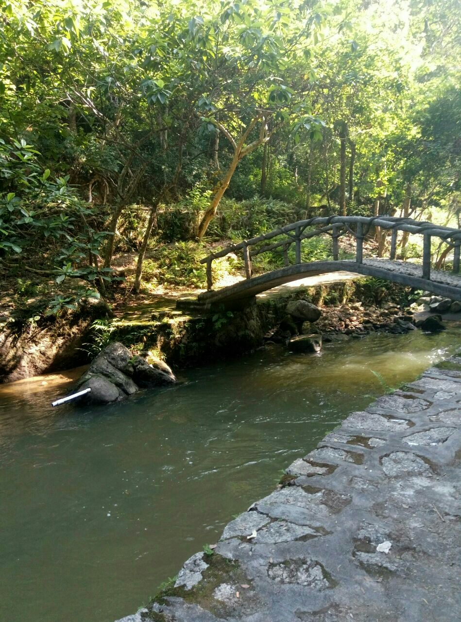 新豐江國家森林公園桂山風景區旅遊景點攻略圖