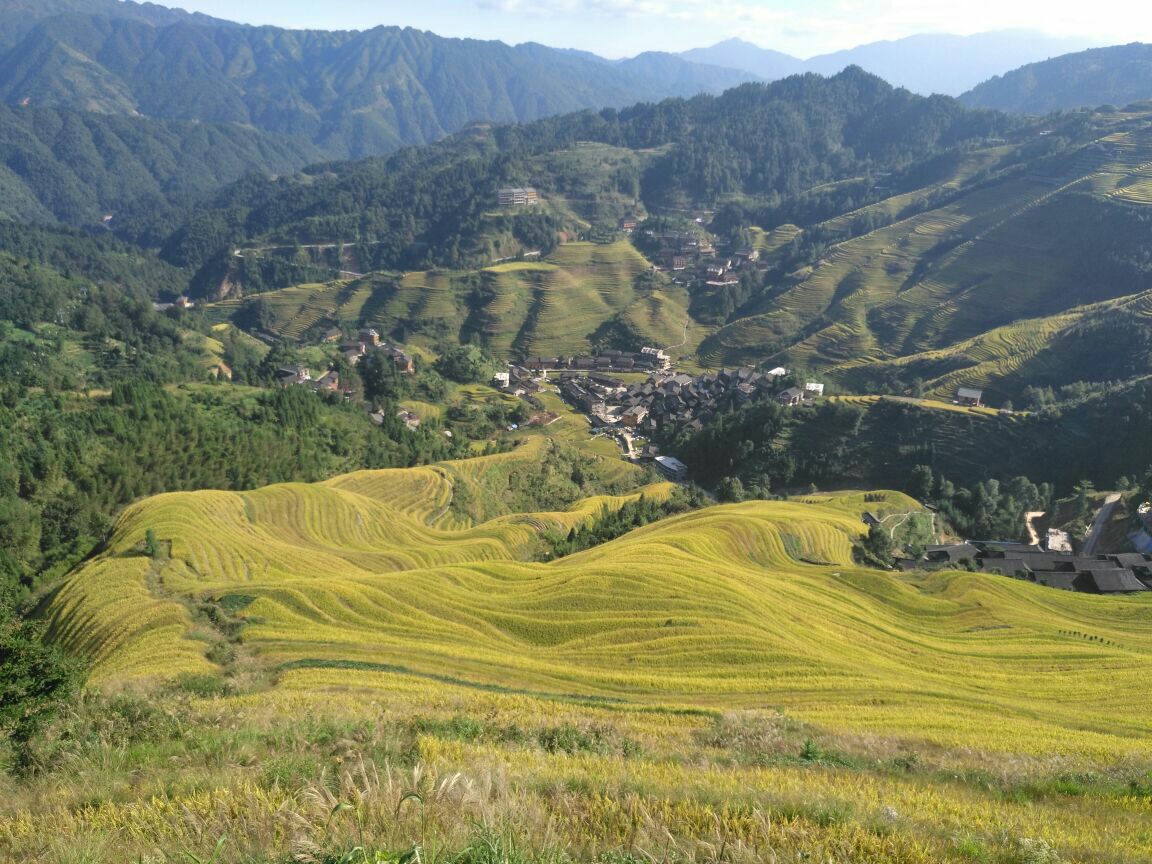 2019金坑梯田_旅遊攻略_門票_地址_遊記點評,龍脊梯田旅遊景點推薦