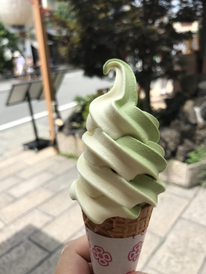 2017暑假名古屋白川乡金泽大阪京都9日游