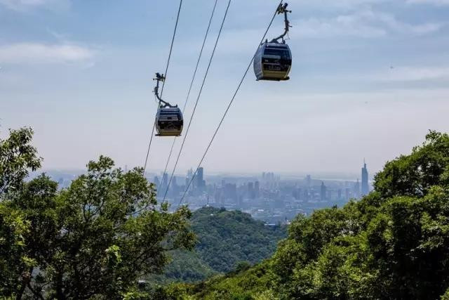 中山陵有電瓶車或纜車之類登頂嗎?老年人膝蓋有傷 不宜爬臺階.謝謝