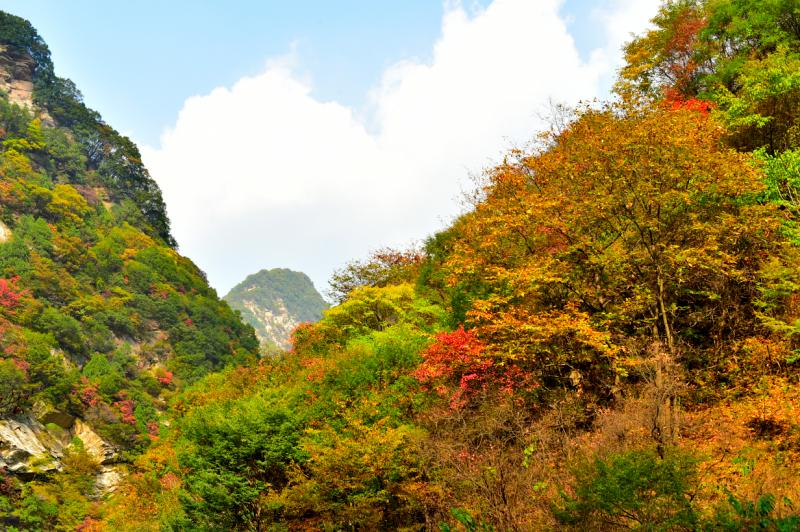 【攜程攻略】華州區少華山森林公園適合朋友出遊旅遊嗎,少華山森林