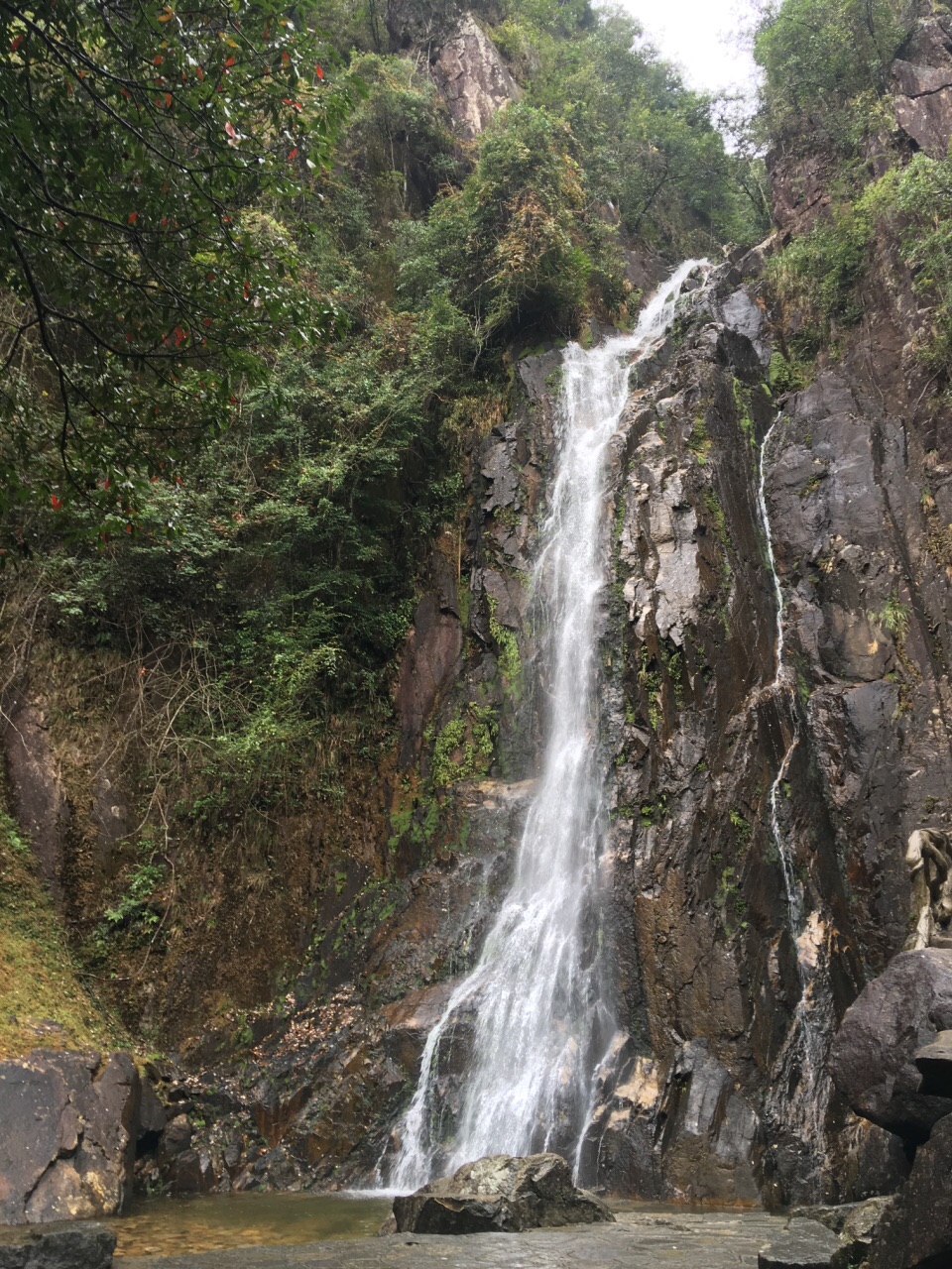 賀州姑婆山好玩嗎,賀州姑婆山景點怎麼樣_點評_評價【攜程攻略】