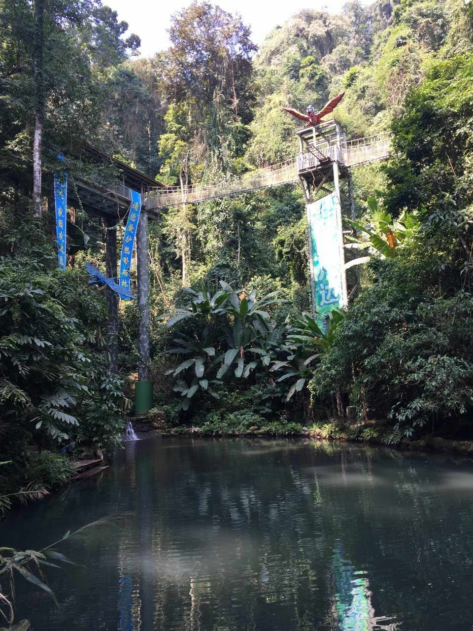 西雙版納熱帶雨林國家公園望天樹景區