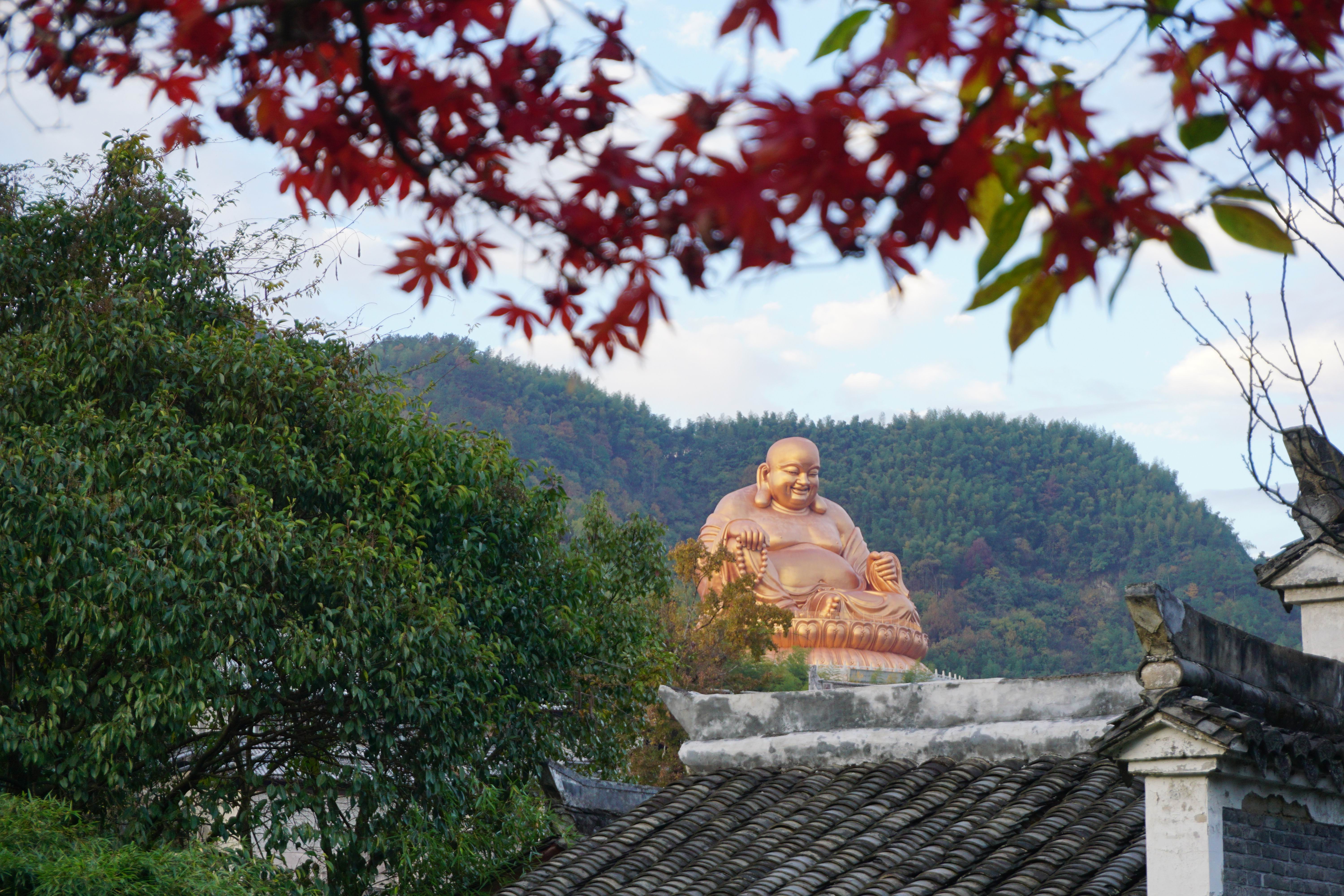 2019雪竇寺_旅遊攻略_門票_地址_遊記點評,奉化旅遊景點推薦 - 去哪兒