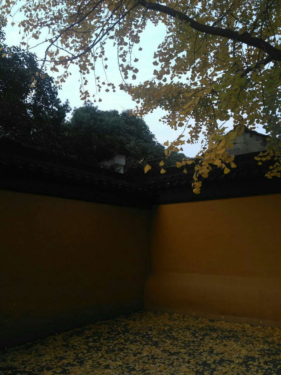 慈恩园生命纪念馆