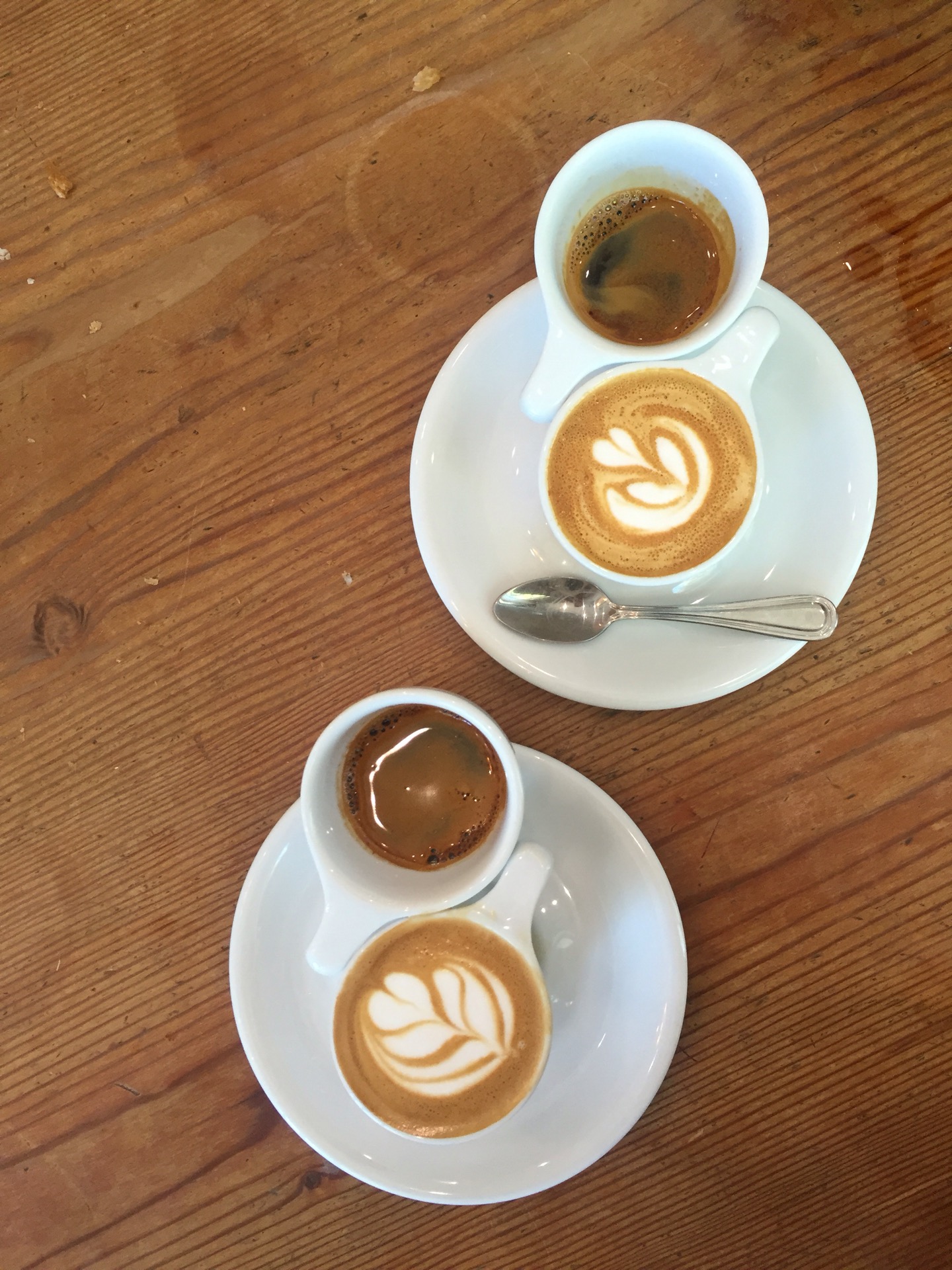 verve coffee roasters