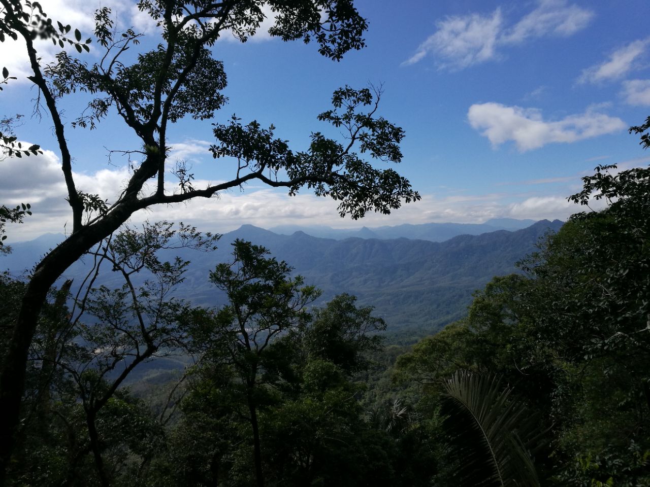 七仙嶺溫泉國家森林公園