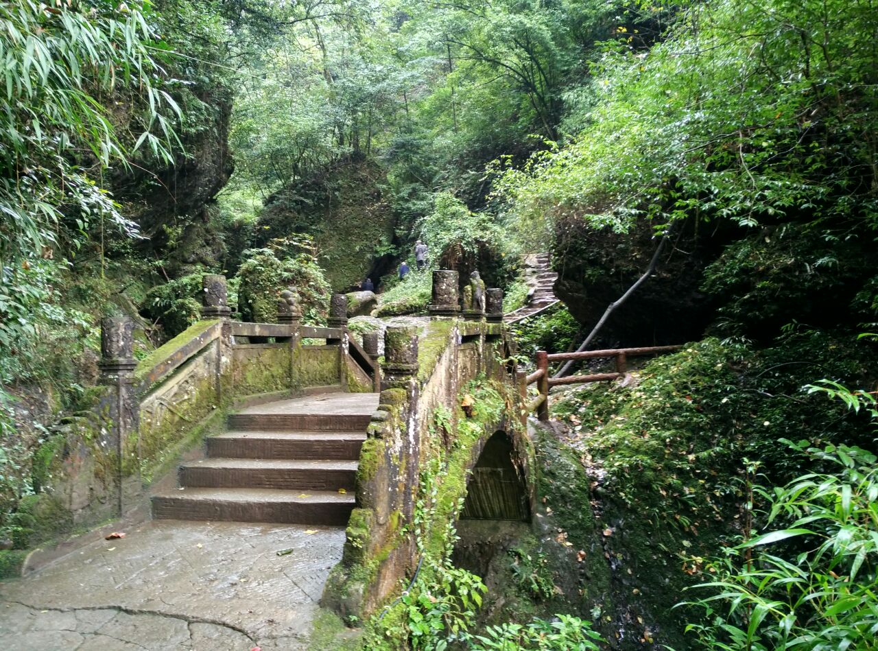 【攜程攻略】青城山青城後山好玩嗎,青城山青城後山景點怎麼樣_點評