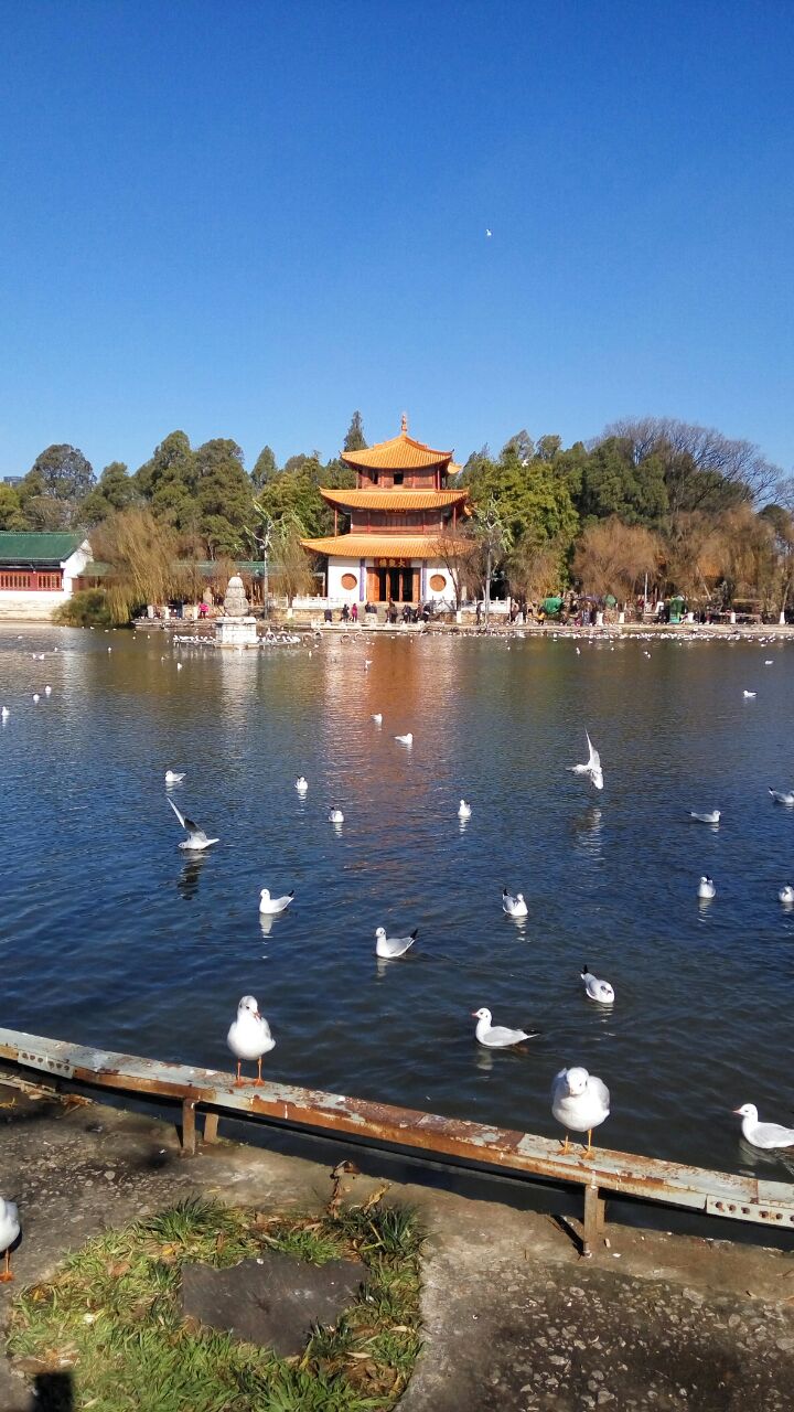 【携程攻略】昆明大观楼景点,向往天下四大名楼,及天下第一长联真是名