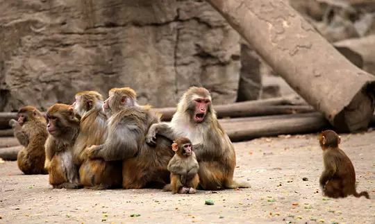 免费!1000套量身定制秀禾服免费送!200套婚纱
