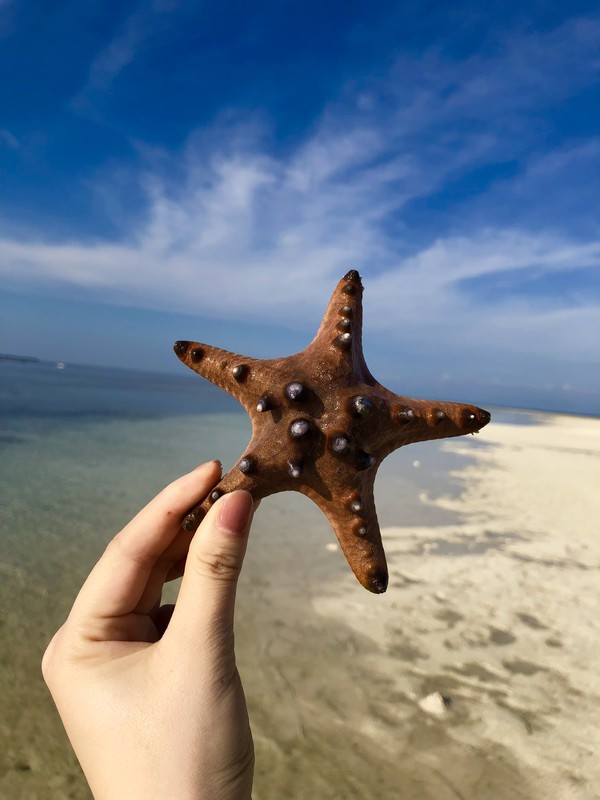 一英语文盲如何一人报团菲律宾外加独自一人一