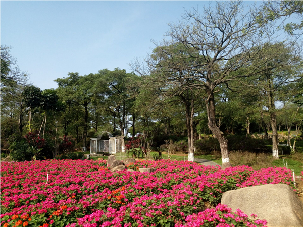 东莞农家乐松湖生态园