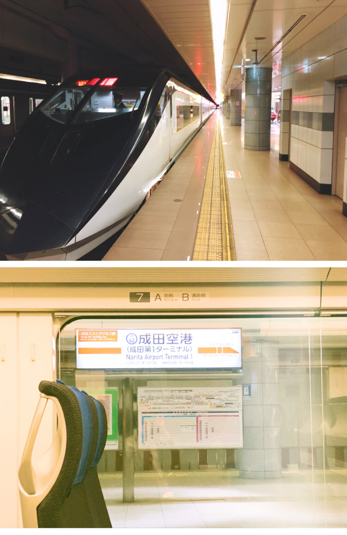 原创 樱花季 东京箱根镰仓7日赏樱之旅 东京游记攻略 携程攻略