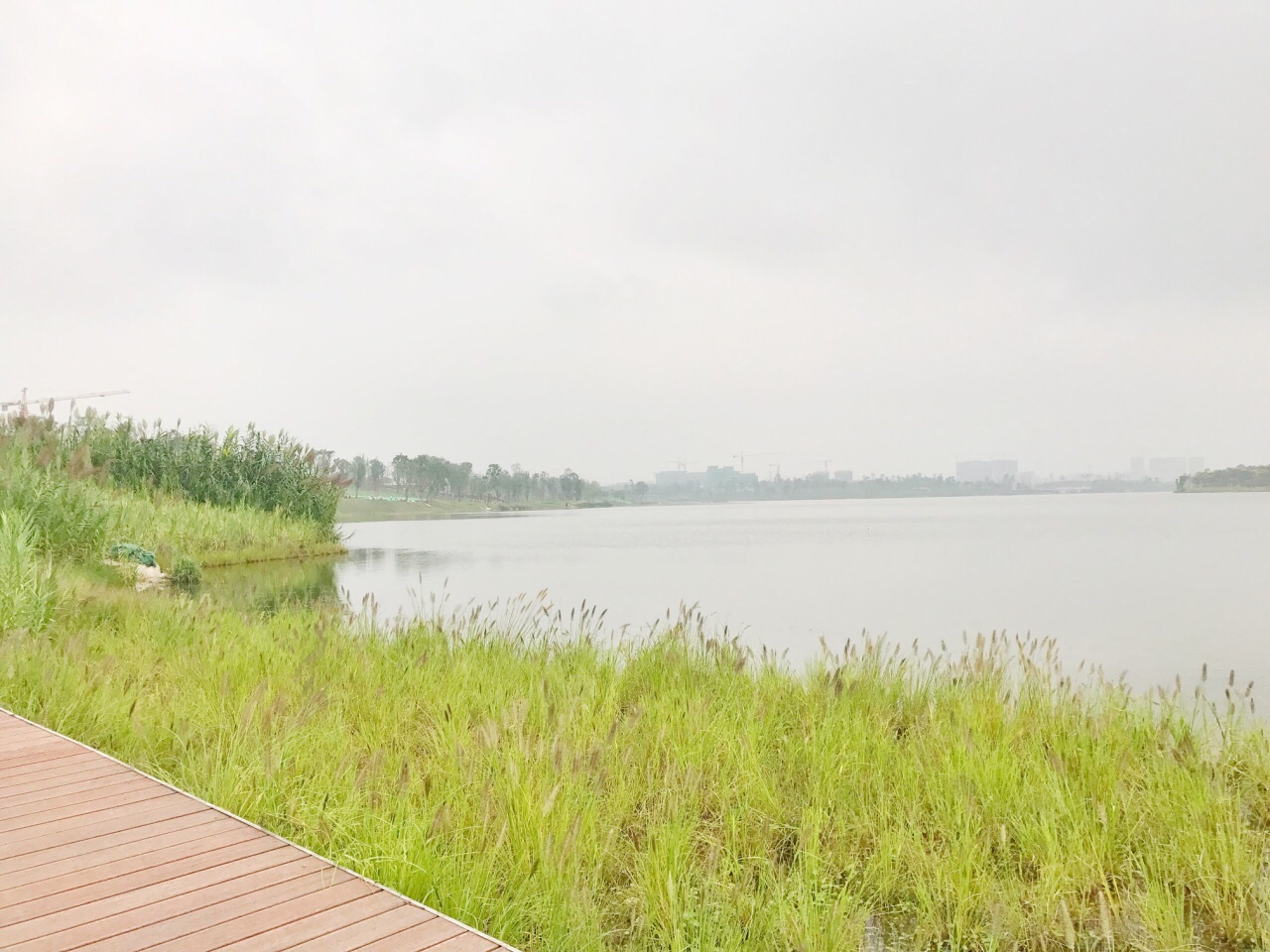 成都興隆湖溼地公園好玩嗎,成都興隆湖溼地公園景點怎麼樣_點評_評價