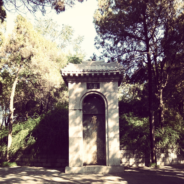 桥，远处为洛阳城。白园白园，没有特别的意思，只为一睹唐代诗魔之墓。