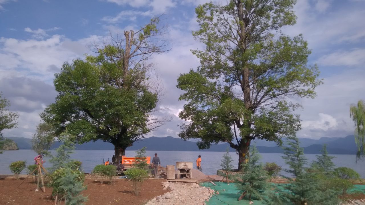 人不多,村里还在建设,是拍摄情人树的浪漫美景的好