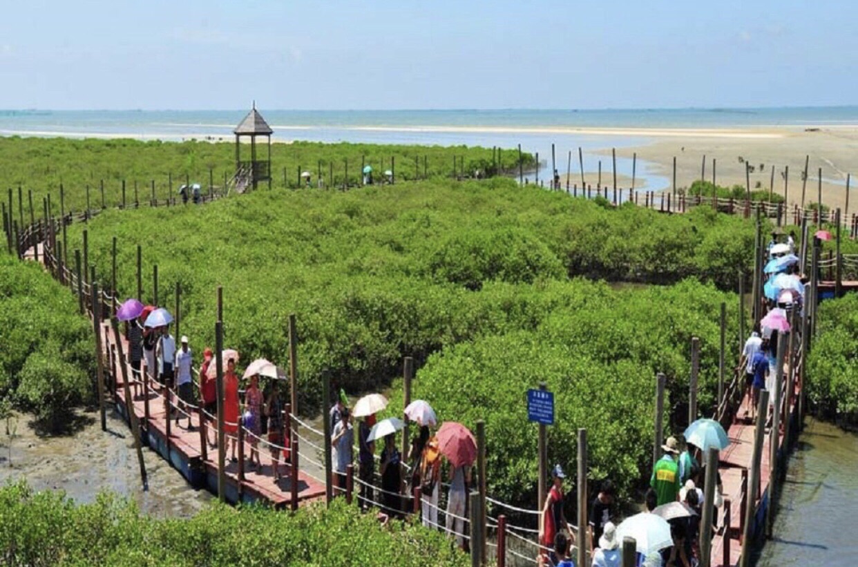 北海金海灣紅樹林生態旅遊區旅遊景點攻略圖