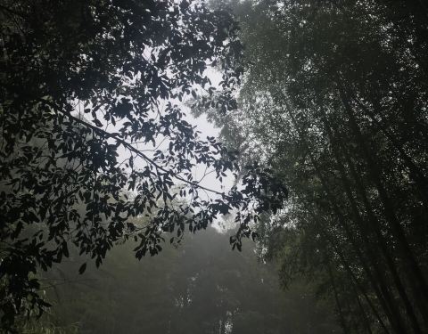 2021大甲铁砧山风景特定区门票 台中大甲铁砧山风景特定区游玩攻略 大甲铁砧山风景特定区游览攻略路线 地址 门票价格 去哪儿攻略