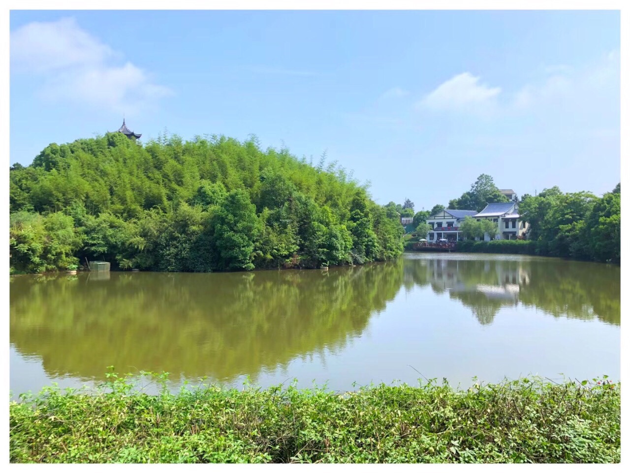 光明蝶谷景色优美风景宜人空气清新自然雨后空气清新淡雅趣味性强聊天